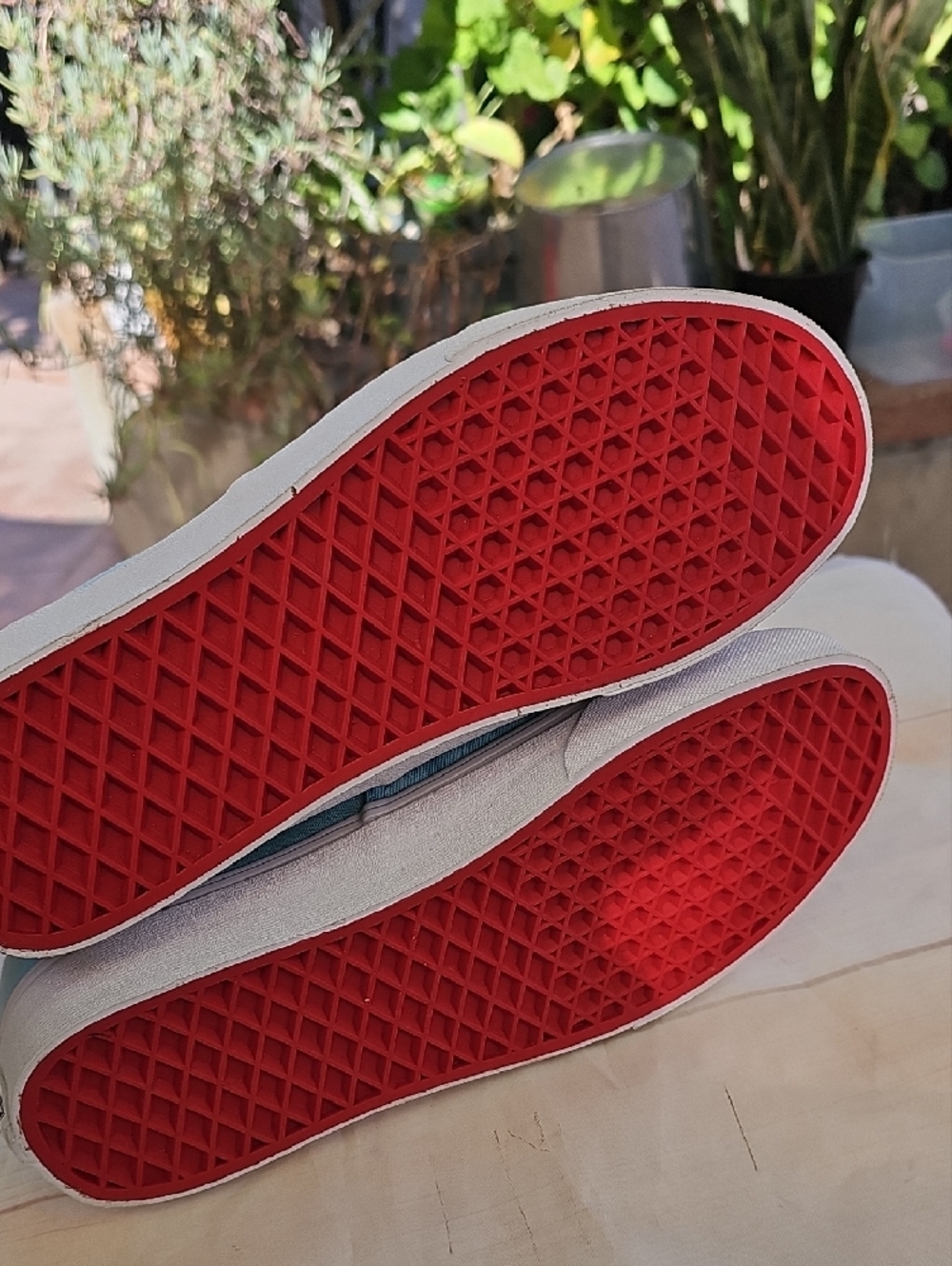 Vans Aqua Canvas Low-Top Sneakers with Red Lining - Picture 10 of 12
